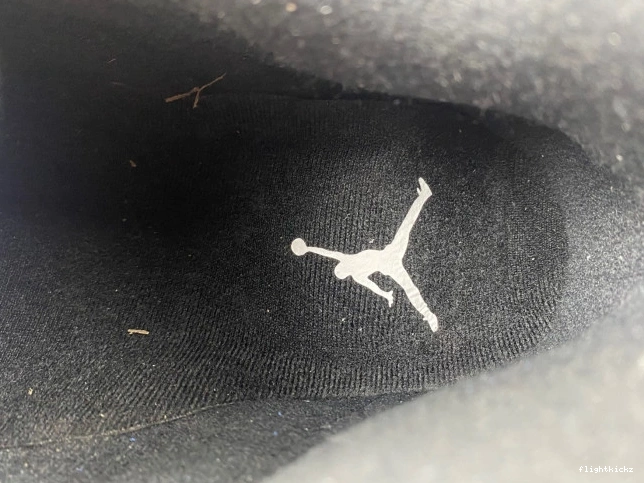 Jordan 487471-407 Retro 14 Laney 1021